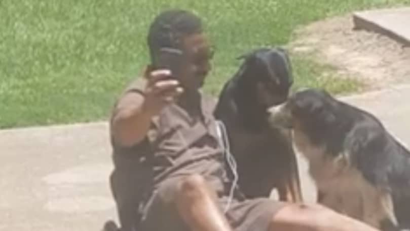 Best UPS Man On The Planet' Takes Selfie With Dogs - LADbible