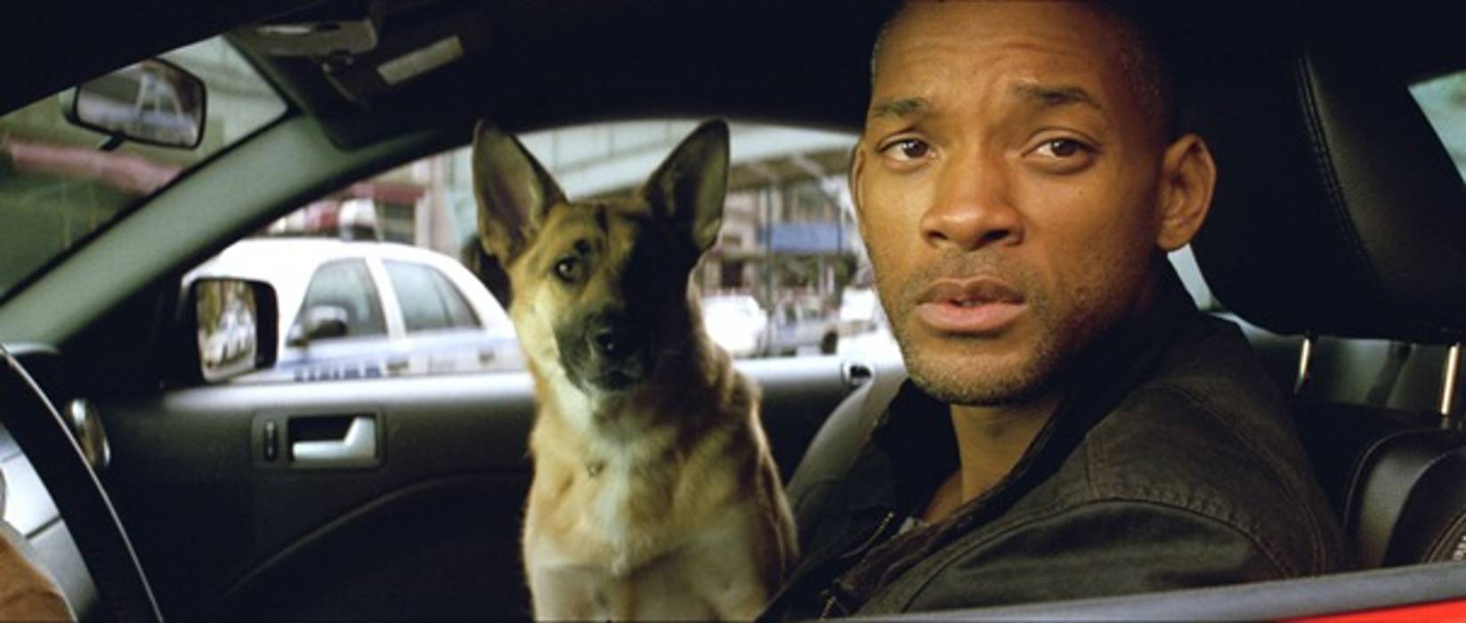 Abbey, The Dog From 'I Am Legend', Is Now 13 And Living Her Best Life -  LADbible