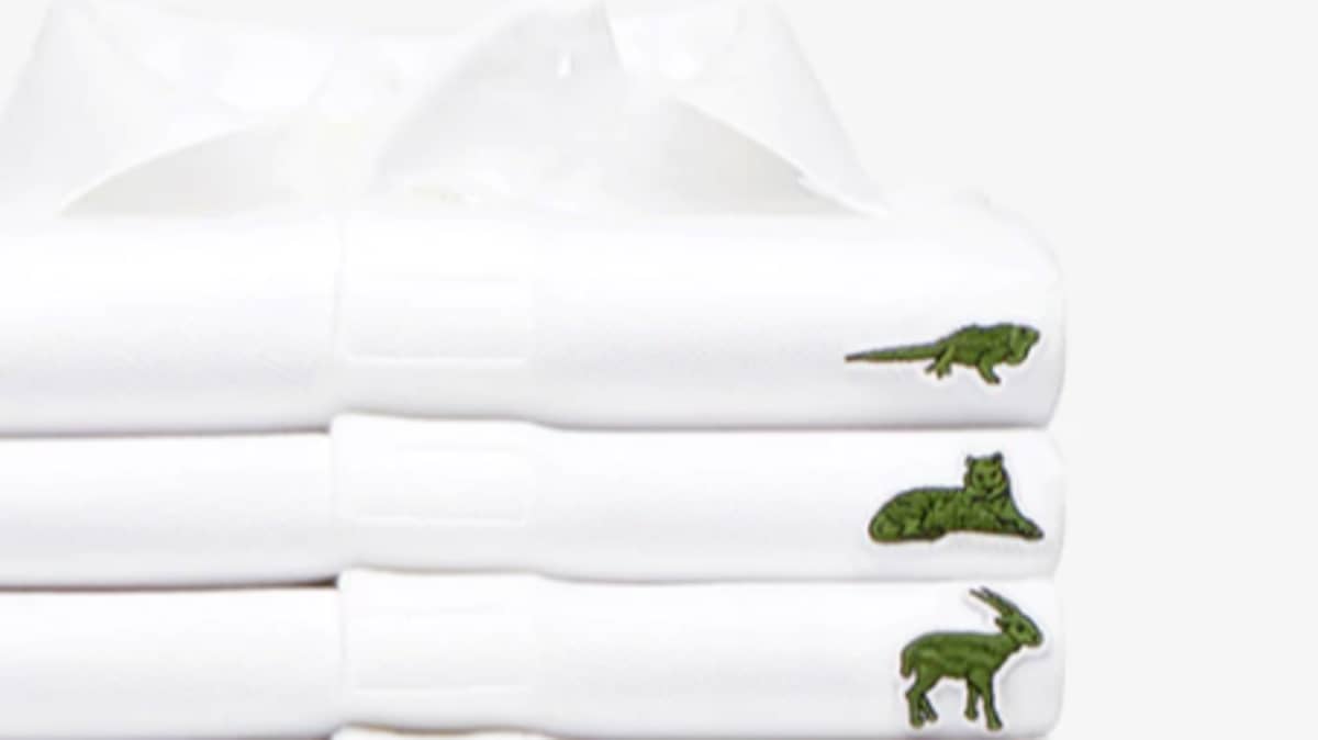 Kommunikationsnetværk Glad Astrolabe Lacoste Releases New Range Of Polo Shirts To Help Endangered Species -  LADbible