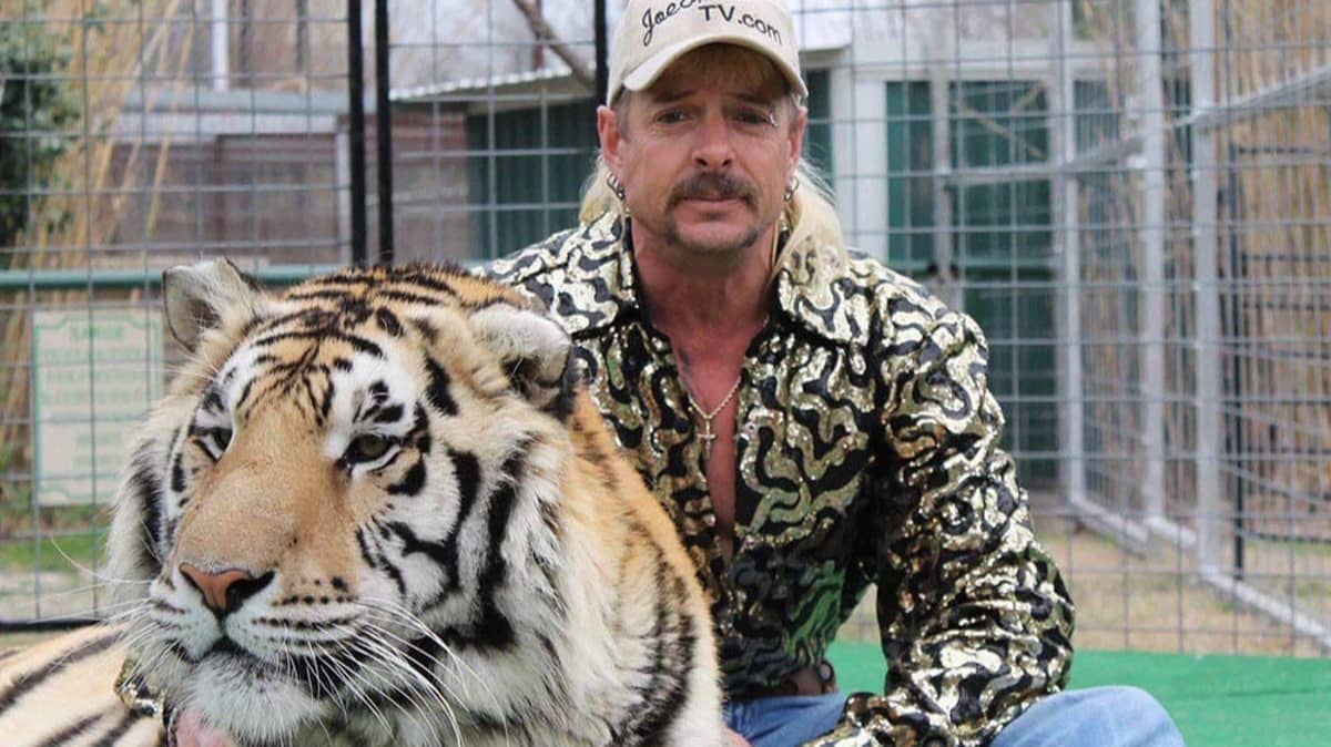 Founder Of Big Cat Rescue Recipient Of Global Award For Sanctuary Excellence Global Federation Of Animal Sanctuaries