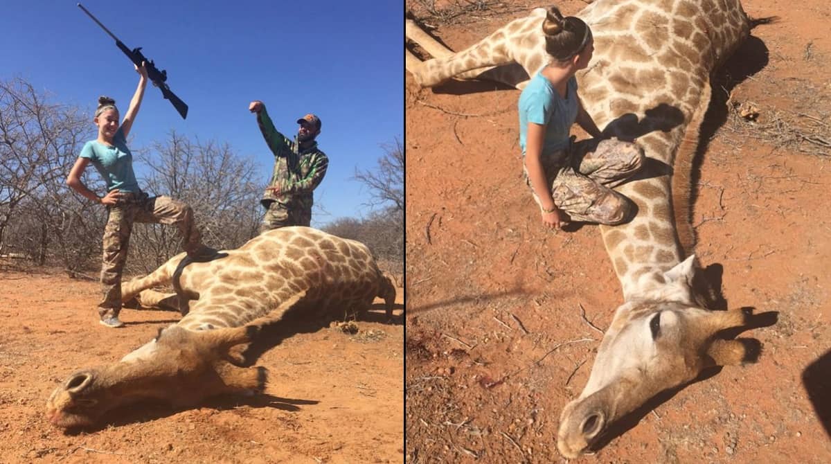Twelve-Year-Old Girl Who Kills Animals For Fun And Poses Next To Them Vows  To Never Stop - LADbible