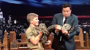 Robert Irwin Follows In His Dad's Footsteps As He Appears On The Tonight Show