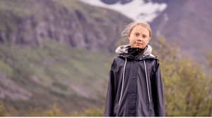 Greta Thunberg Has Made A Cameo In The MCU
