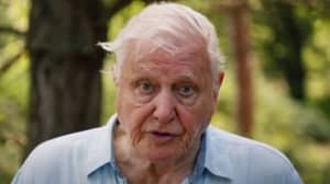 ​David Attenborough Warns Our Planet Is ‘Facing A Crisis’