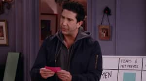 Friends Monkey Trainer Slams David Schwimmer Over His Comments About Marcel