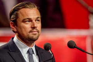 Researchers Have Named A New Water Beetle After Leonardo DiCaprio 