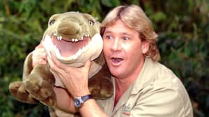 Steve Irwin Is Going To Be Honoured With A Hollywood Star 