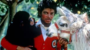 ​Michael Jackson's Pet Chimp Bubbles Is Still Alive And Well