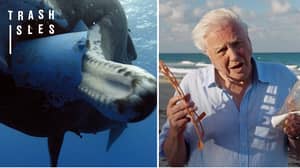 Oceans Under 'Biggest Threat in Human History', Warns Sir David Attenborough