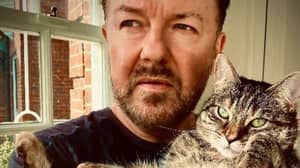 Ricky Gervais Petition To Stop Animal Testing Has Almost Reached 100k Signatures