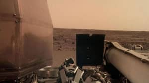NASA InSight Probe Sends Back First 'Selfie' From Mars 