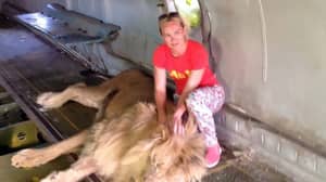 Selfie Taken Moments Before Lion Brutally Mauls Woman During Safari Visit