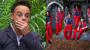 Viewers Slate I'm A Celebrity For This Year's Lineup