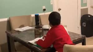 Mum Catches Six-Year-Old Boy Using Alexa To Cheat On His Homework