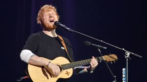 Ed Sheeran Announces Death Of His Cat Graham