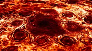 ​NASA Shares Incredible Photo Of Jupiter’s Surface That Looks Like ‘Pepperoni Pizza’