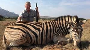 British Trophy Hunters Pose Alongside 'Vulnerable' Zebras Killed For Sport