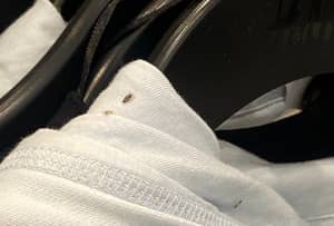 H&M Shuts Down Store After Employee Leaks Picture Of Bugs On Hoodies