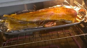 Woman Horrified After Filleted Fish Starts Jumping In The Oven