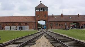 Horrific Notes Written Inside Auschwitz Have Finally Been Deciphered 