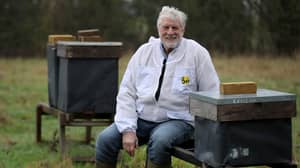 Beekeeper Told 15 Million Bees He Ordered Could Be Killed Because Of Brexit