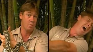 Amazing Steve Irwin Calls Snake Attacker A 'Son Of A Gun'