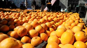 Passengers Sustain Mouth Ulcers After Eating 30kg Of Oranges To Avoid Baggage Fee