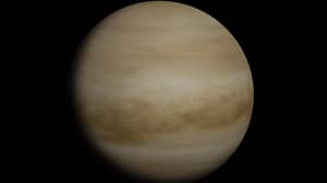 Scientists Suggest New Theory Could Prove Alien Lifeforms Are Hiding On Venus