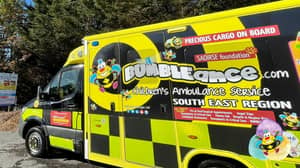 ‘BUMBLEance’ ambulance service transports ill children to the hospital in style