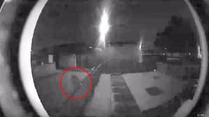 Experts Claim ‘Big Cat’ Captured On Scottish Doorbell Cam Is A Puma
