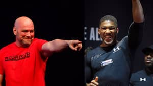 UFC President Dana White Appears Very Keen To Work With Anthony Joshua 