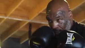 Mike Tyson Shows Off His Legendary Speed In New Training Video