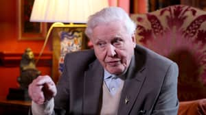 ​Sir David Attenborough Once Almost Died During Filming 