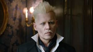 200,000 People Sign Petition Demanding Johnny Depp Should Star In Fantastic Beasts 3