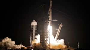 SpaceX Launches Its First All-Civilian Flight Into Earth's Orbit