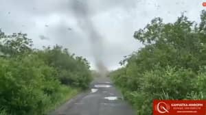 Russian Driver Captures Huge 'Tornado' Of Swarming Mosquitoes