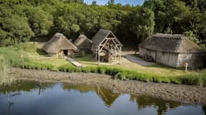 Live Like A Viking In This Unusual Wexford Airbnb Experience