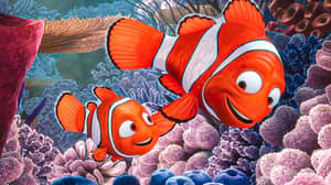 This Dark Finding Nemo Fan Theory Is ‘Ruining Childhoods’ 