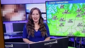 Police Investigating After Porn Aired During Live Weather Report