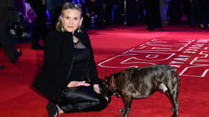 Carrie Fisher's Dog Gary Attended A Screening Of 'The Last Jedi' And Loved Seeing His Late Owner On Screen