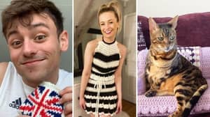 Tom Daley's Best Knitting Designs: From Gucci Dress To Cat Couch