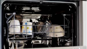 Mum Makes Incredibly Awkward Discovery In Dishwasher But It's Not What It Looks Like