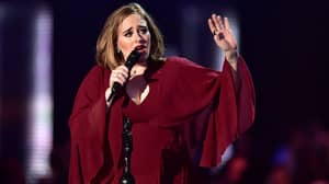 Adele Rips In To Security Guard For Telling Fans To Sit Down