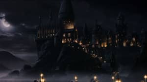 Harry Potter Fans Grossed Out By Hogwarts Bathroom History