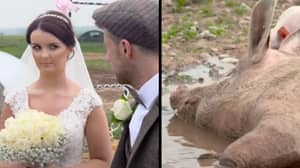 Man Spends £14K On Pig-Themed Wedding - Surprisingly, Bride Wasn't Happy 