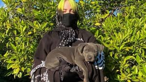 Billie Eilish's Dog Poos All Over Trainers Worth Thousands Of Dollars