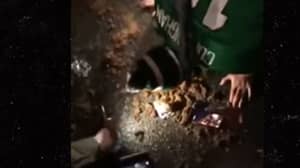 Eagles' Fan Celebrates Super Bowl Win By Eating Horse Poo