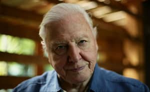 Throwback To The Time Sir David Attenborough Took On A Snake