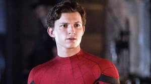 Tom Holland Says Next Spider-Man Film Is 'Most Ambitious Standalone Superhero Movie Ever Made'