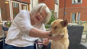 Blind Therapy Dog Once Used As Target Practice Reunited With One Of Her 'Favourite' Care Home Residents